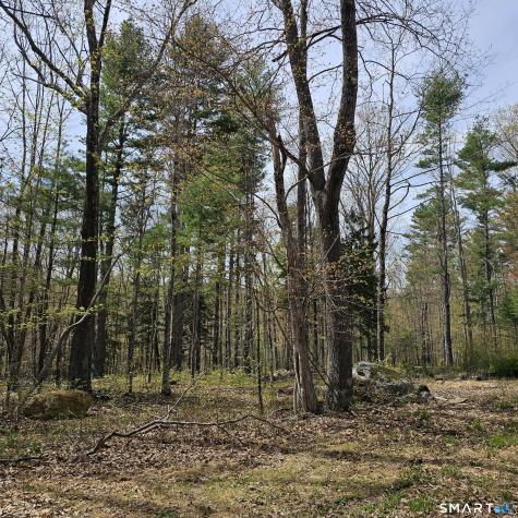 Jared Sparks Road Willington CT 06279