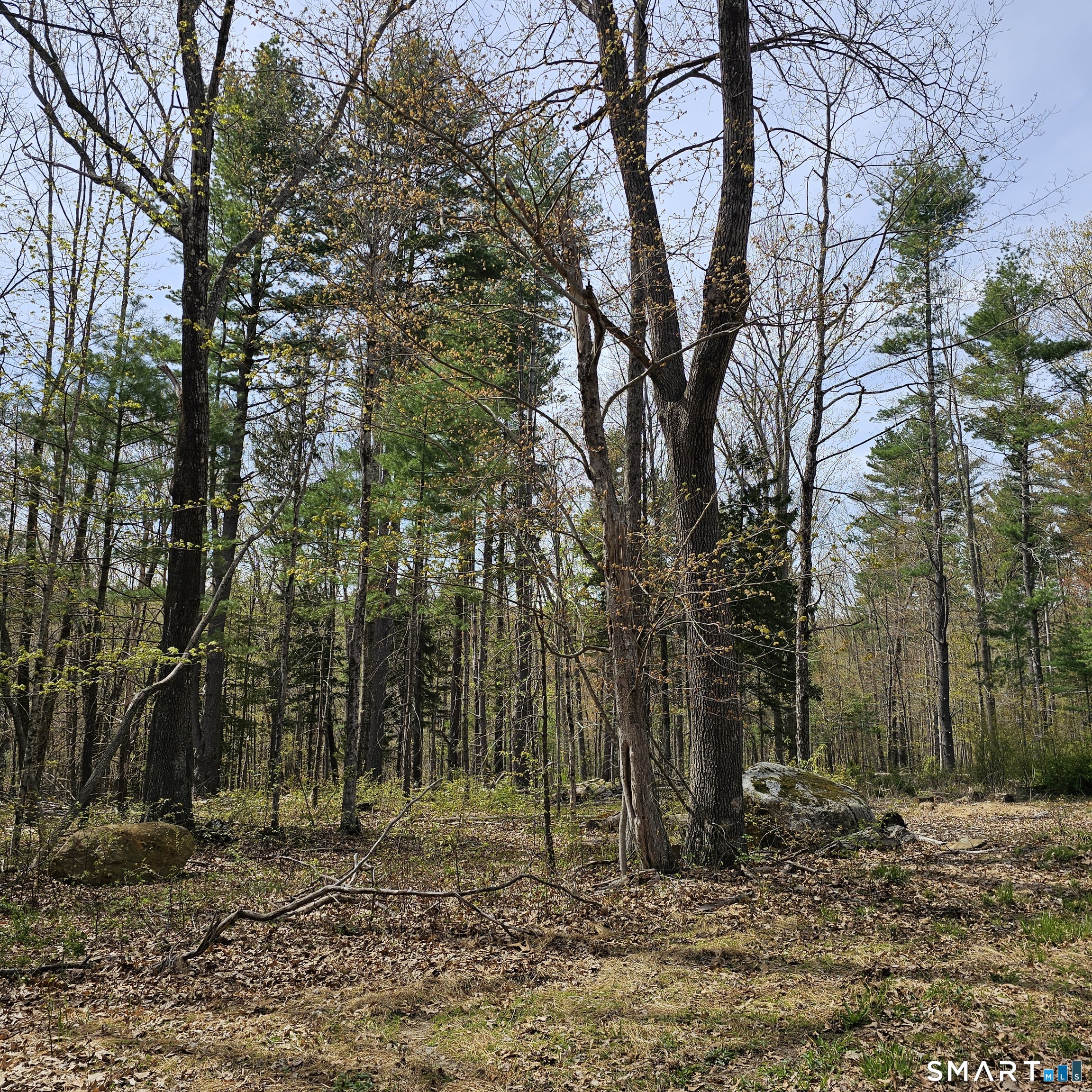 Jared Sparks Road Willington CT 06279