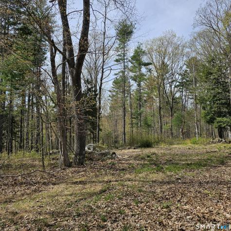Jared Sparks Road Willington CT 06279