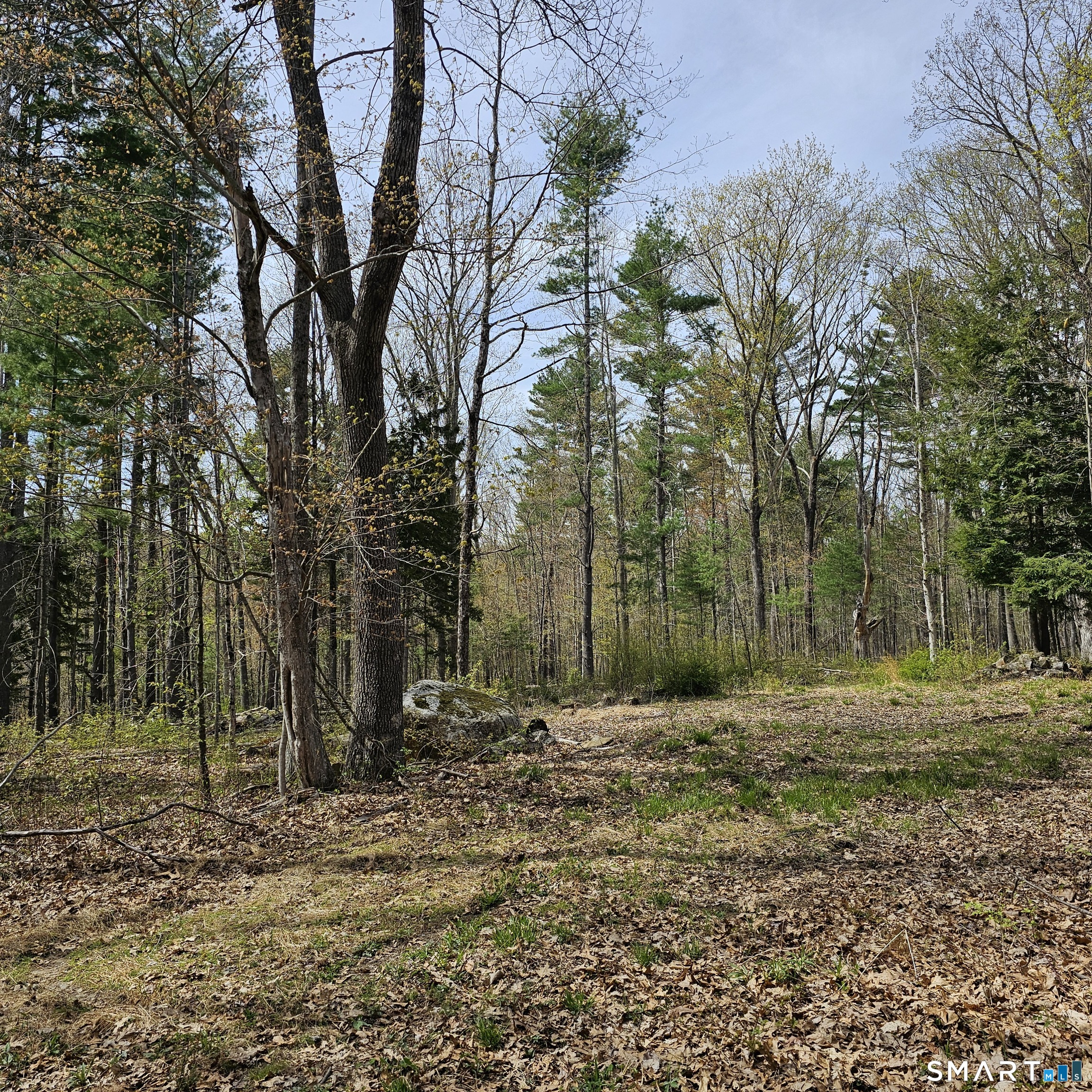 Jared Sparks Road Willington CT 06279