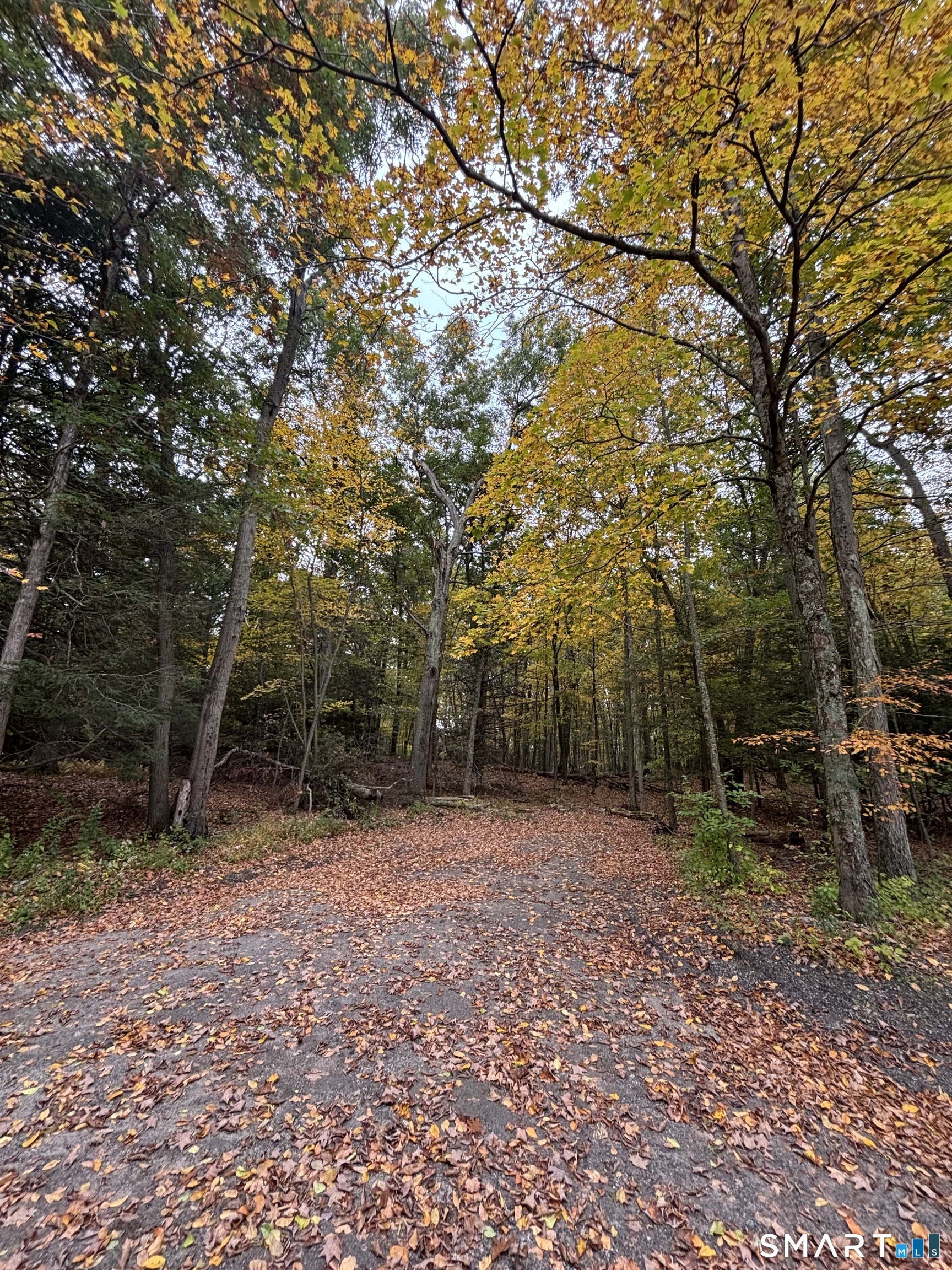 101 Shinar Mountain Road Washington CT 06794