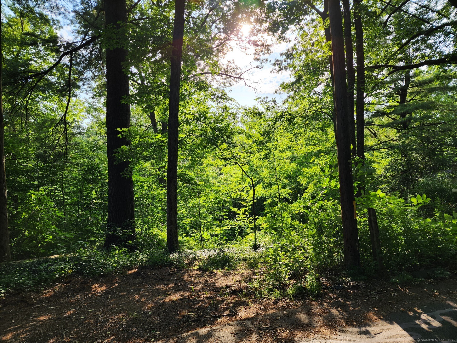 30 Cliff Drive Avon CT 06001