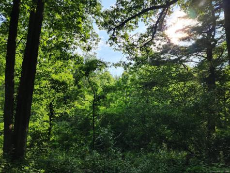 30 Cliff Drive Avon CT 06001