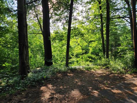 30 Cliff Drive Avon CT 06001