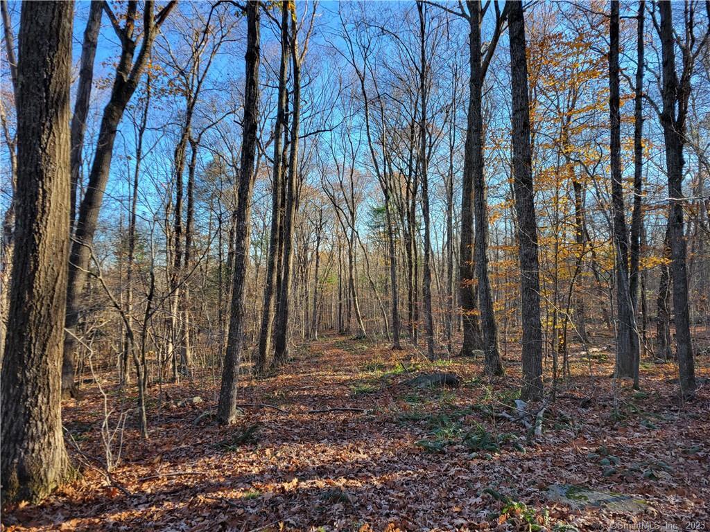 Lot 4 Browns Road Mansfield CT 06250