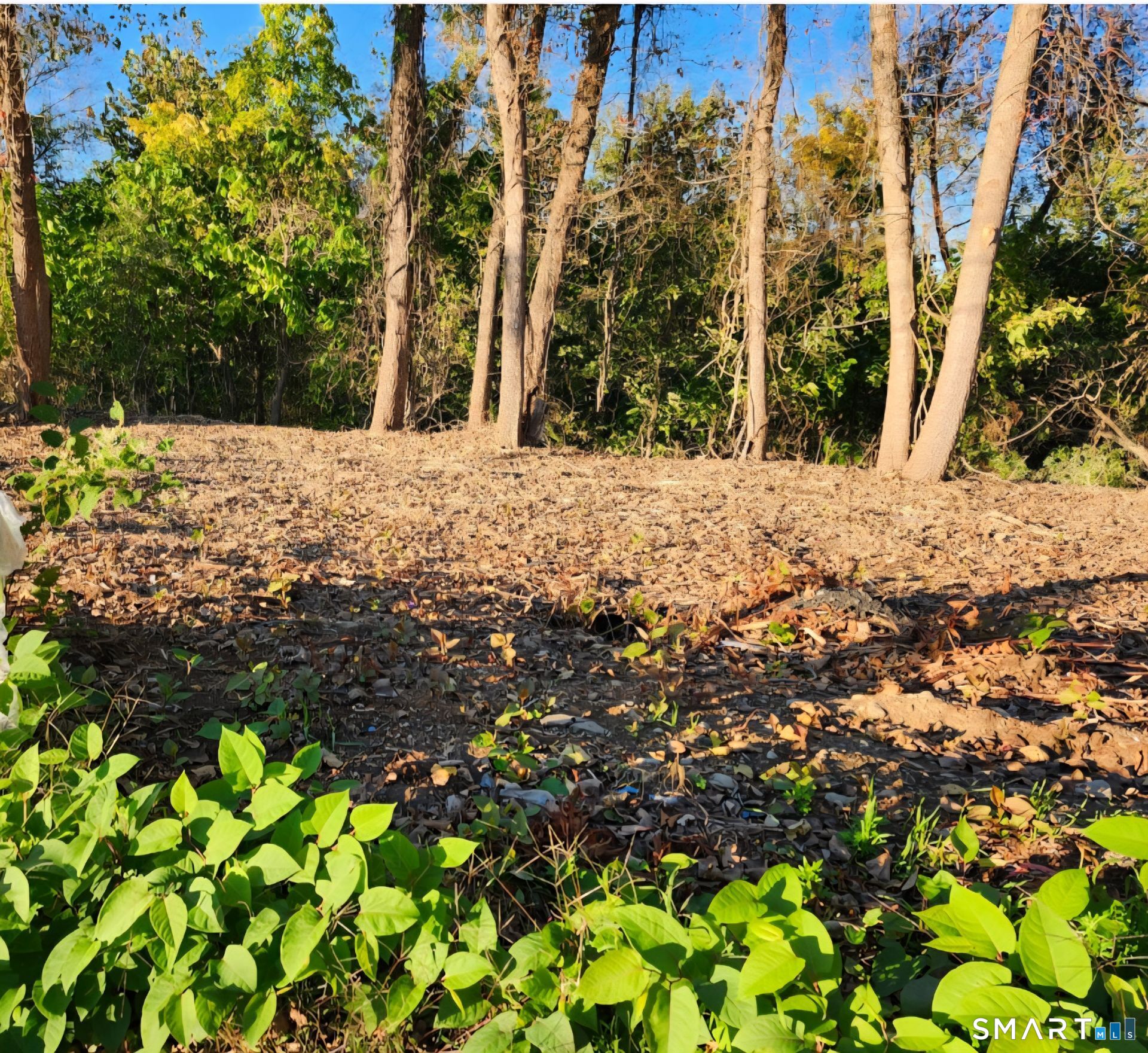 171 Otrobando Avenue Norwich CT 06360