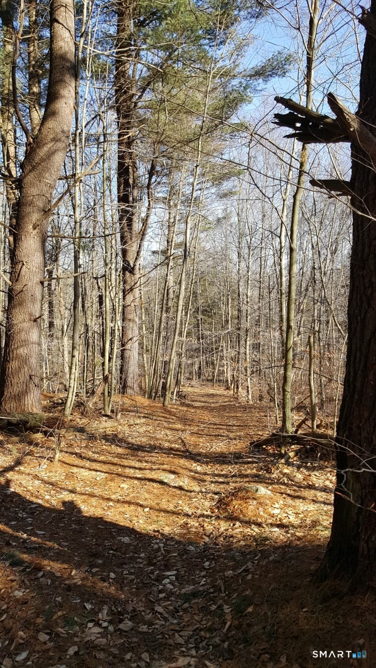 53 Flag Hill Road Colebrook CT 06021
