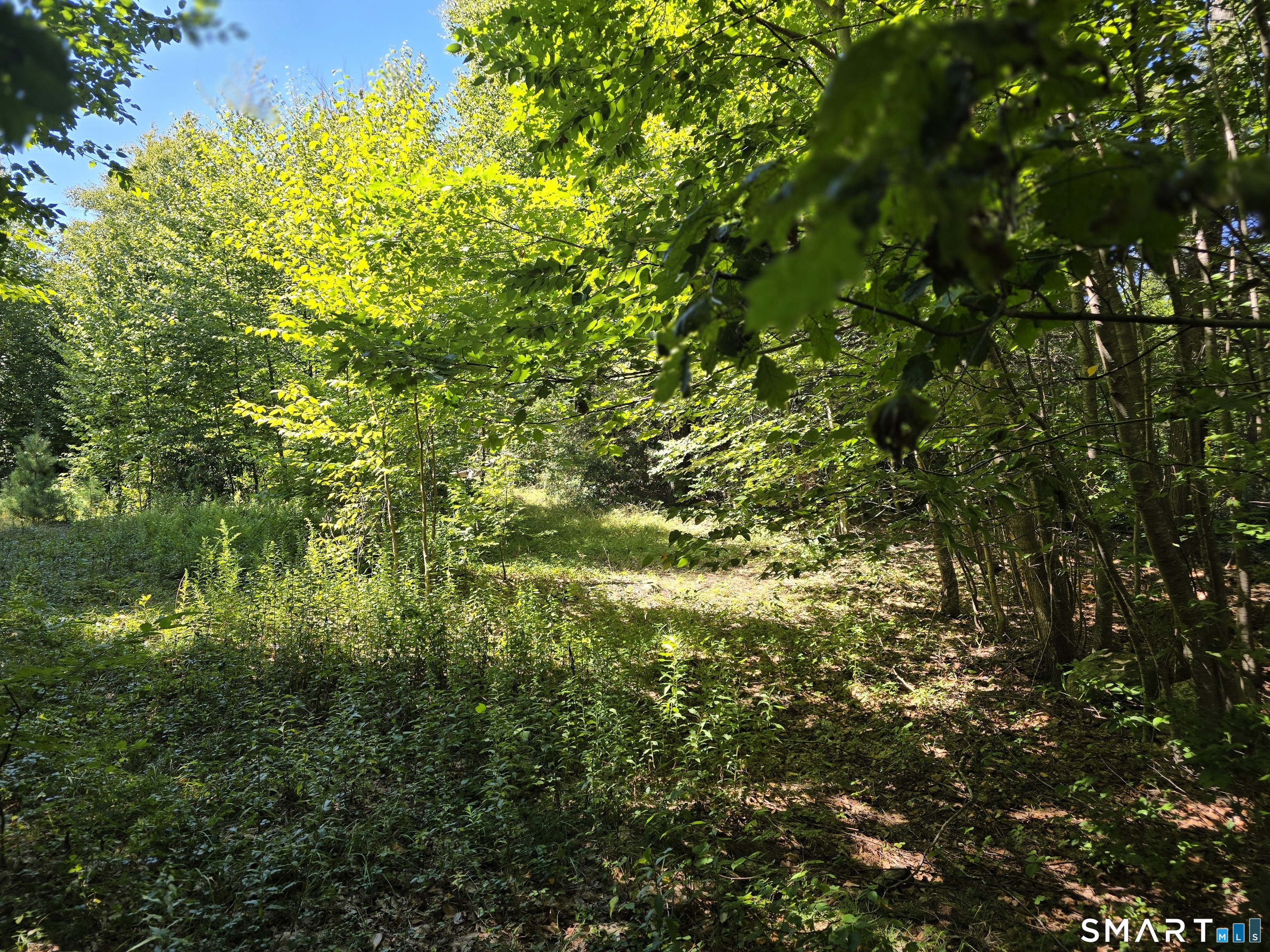 53 Flag Hill Road Colebrook CT 06021