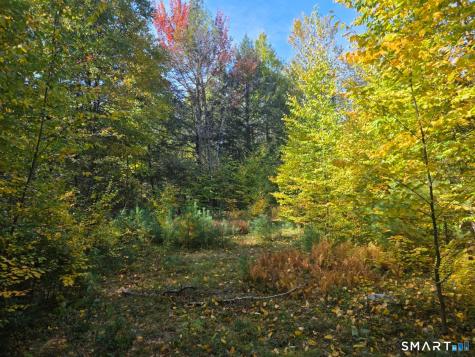53 Flag Hill Road Colebrook CT 06021