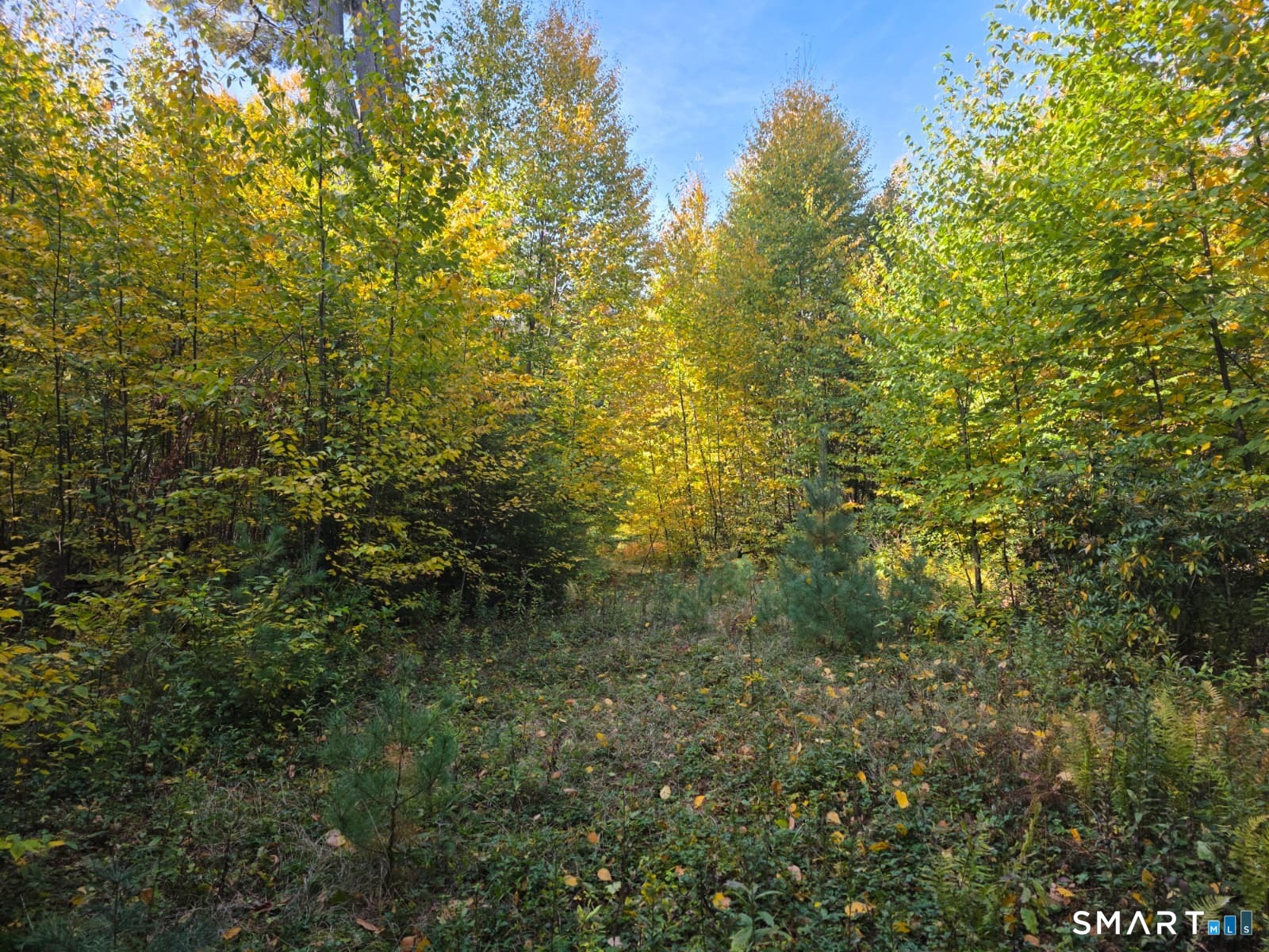 53 Flag Hill Road Colebrook CT 06021