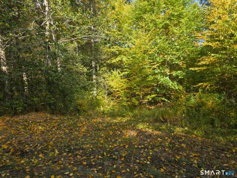 53 Flag Hill Road Colebrook CT 06021