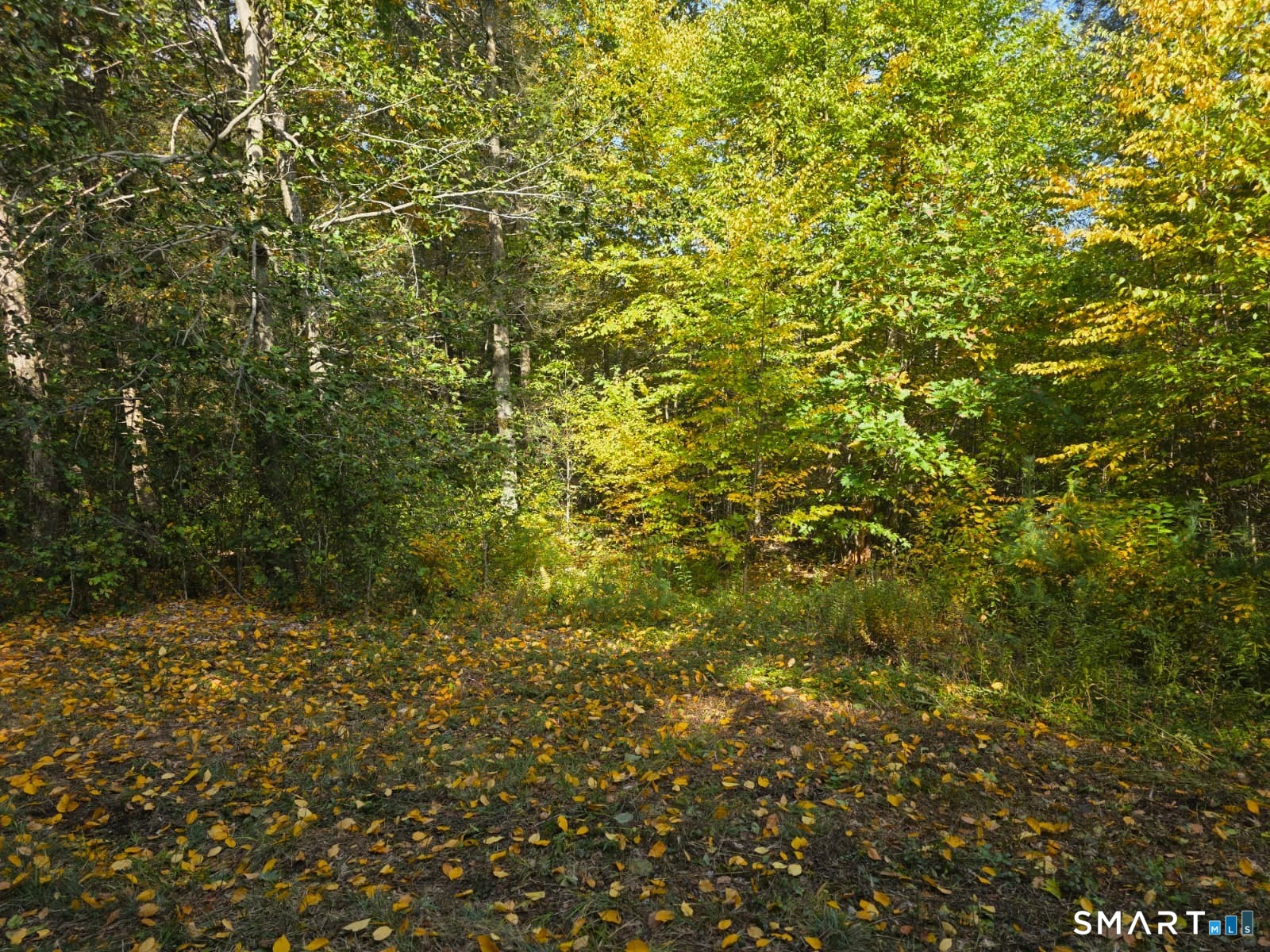 53 Flag Hill Road Colebrook CT 06021