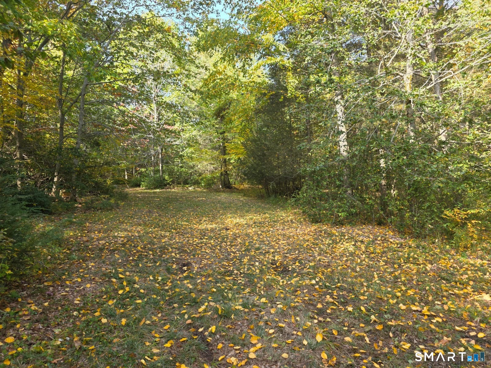 53 Flag Hill Road Colebrook CT 06021