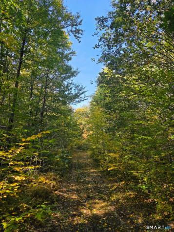 53 Flag Hill Road Colebrook CT 06021