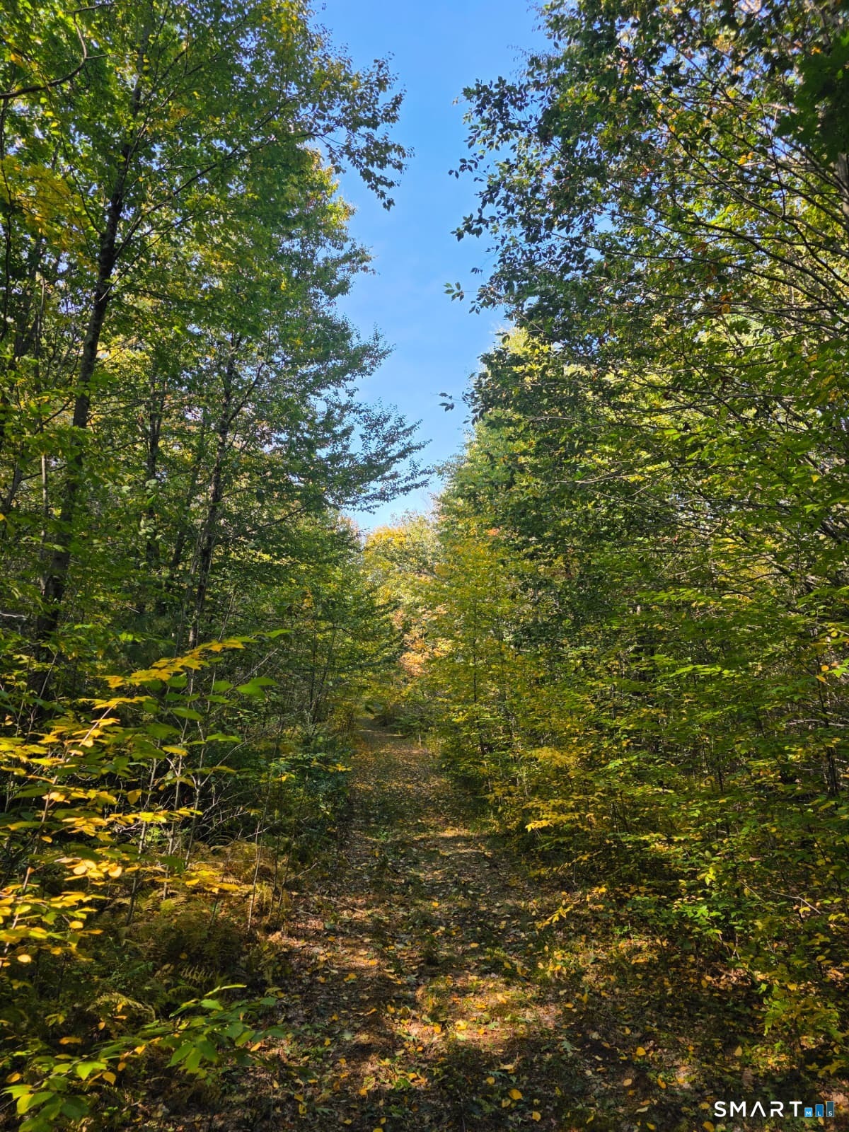 53 Flag Hill Road Colebrook CT 06021