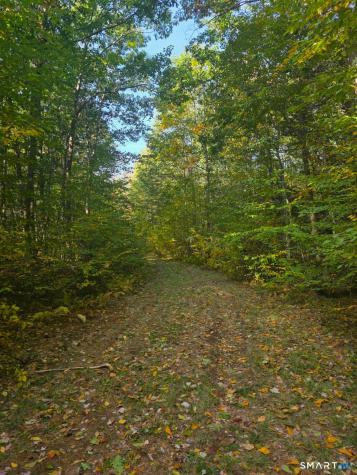 53 Flag Hill Road Colebrook CT 06021