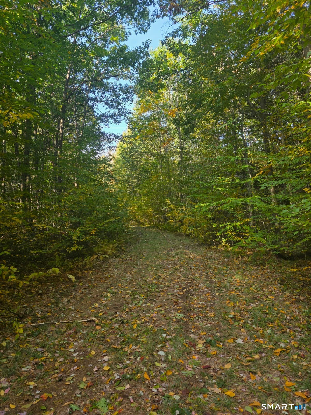 53 Flag Hill Road Colebrook CT 06021