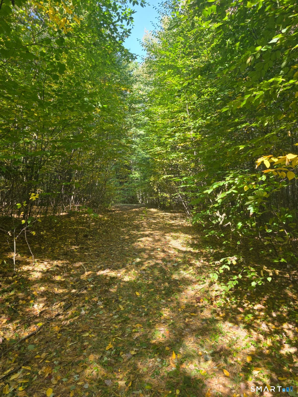 53 Flag Hill Road Colebrook CT 06021