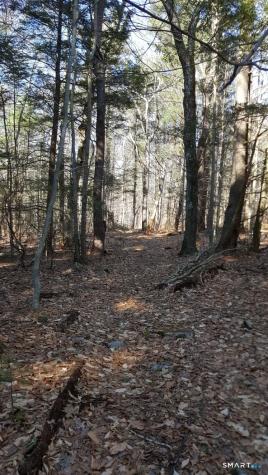 53 Flag Hill Road Colebrook CT 06021