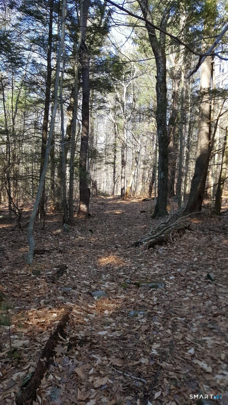 53 Flag Hill Road Colebrook CT 06021