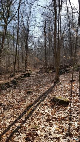 53 Flag Hill Road Colebrook CT 06021