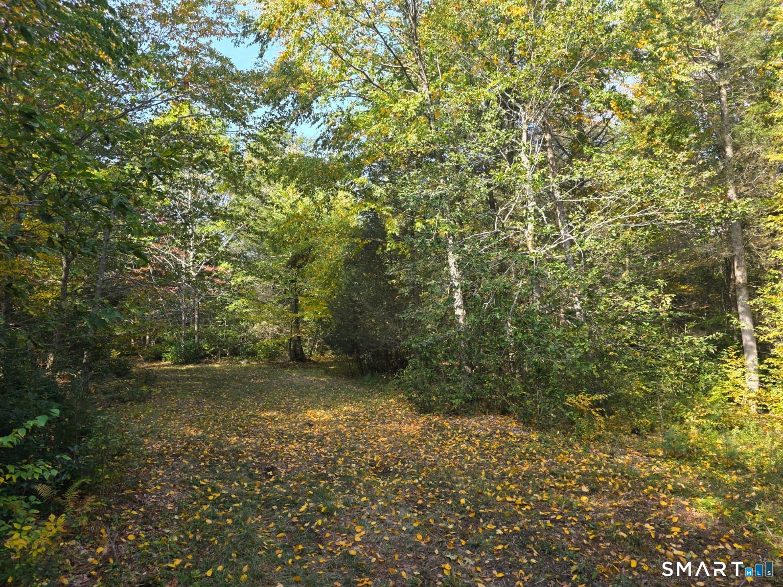 53 Flag Hill Road Colebrook CT 06021