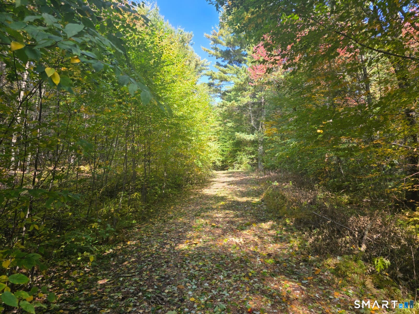53 Flag Hill Road Colebrook CT 06021