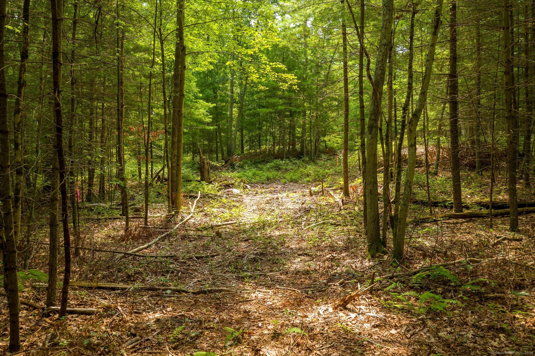 219 Pomfret Street Putnam CT 06260
