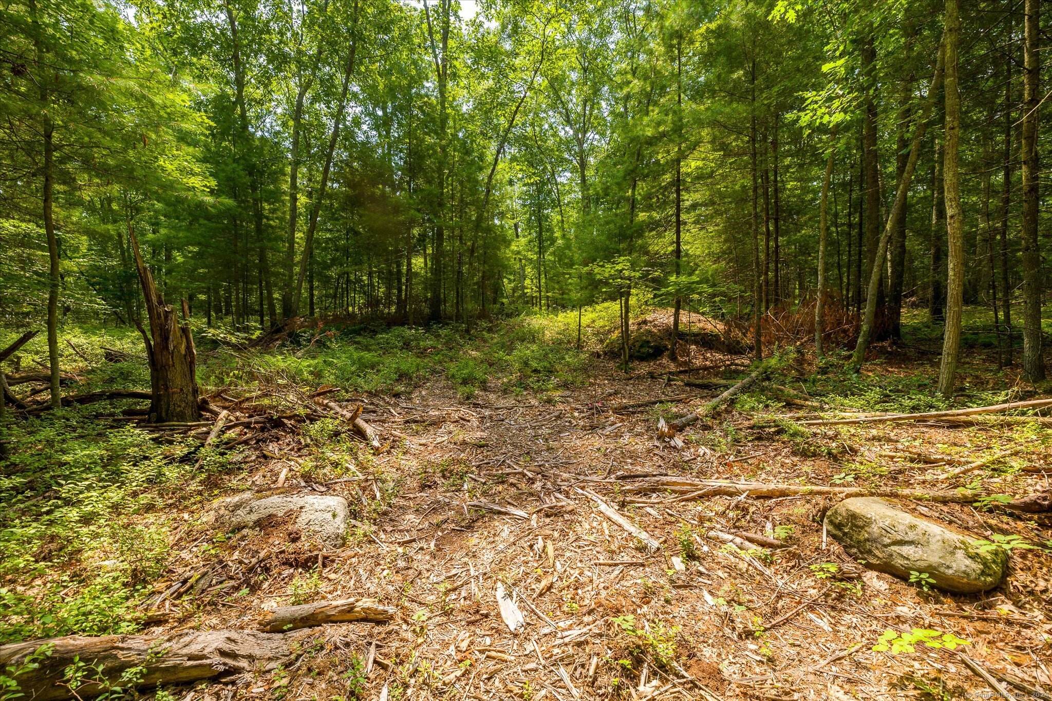 219 Pomfret Street Putnam CT 06260