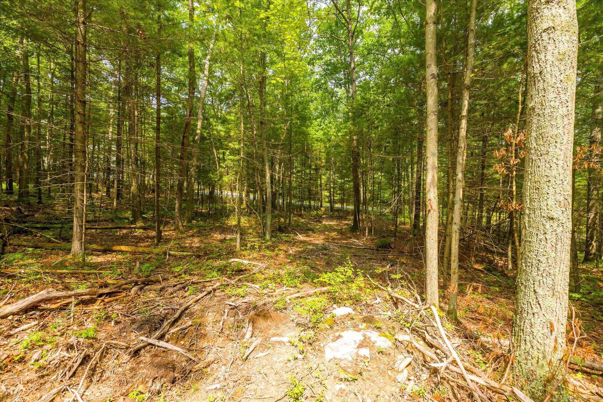 219 Pomfret Street Putnam CT 06260