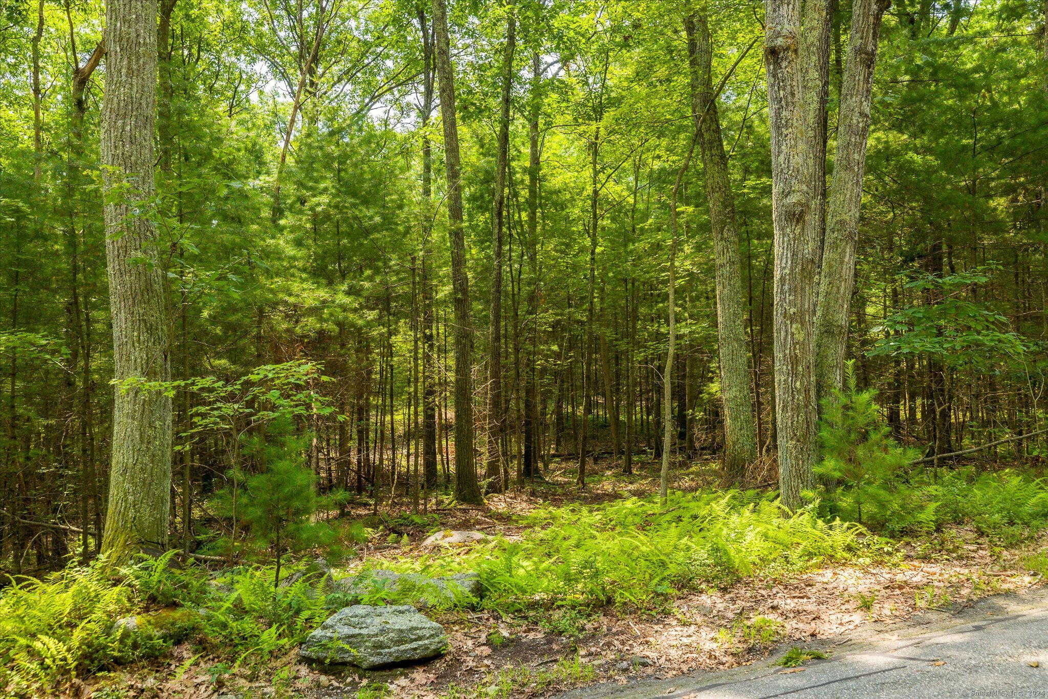 219 Pomfret Street Putnam CT 06260