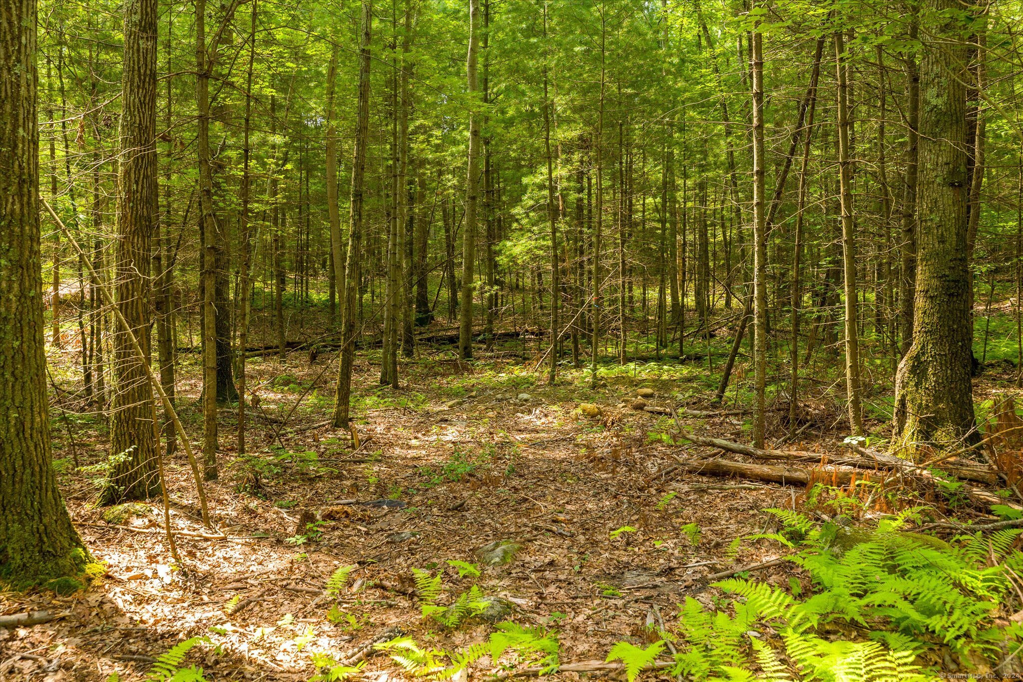 219 Pomfret Street Putnam CT 06260