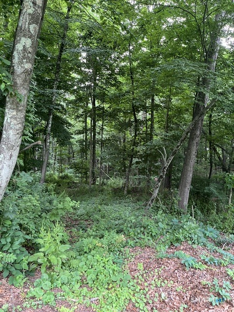 22 1/2 Country Ridge Road Danbury CT 06811