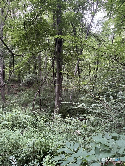 22 1/2 Country Ridge Road Danbury CT 06811