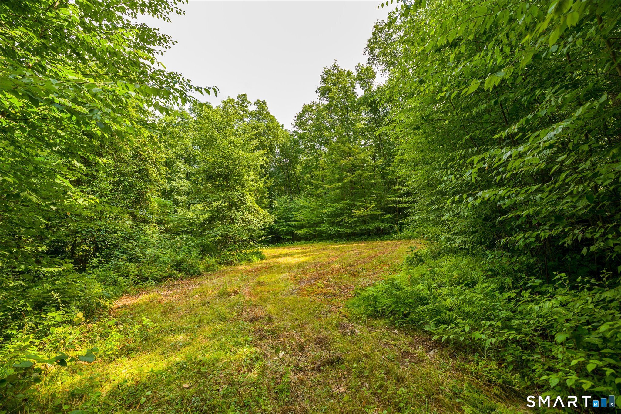 Aplin Hill Lane Woodstock CT 06281