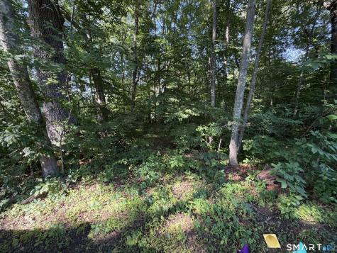 Lakeview Heights Lebanon CT 06249