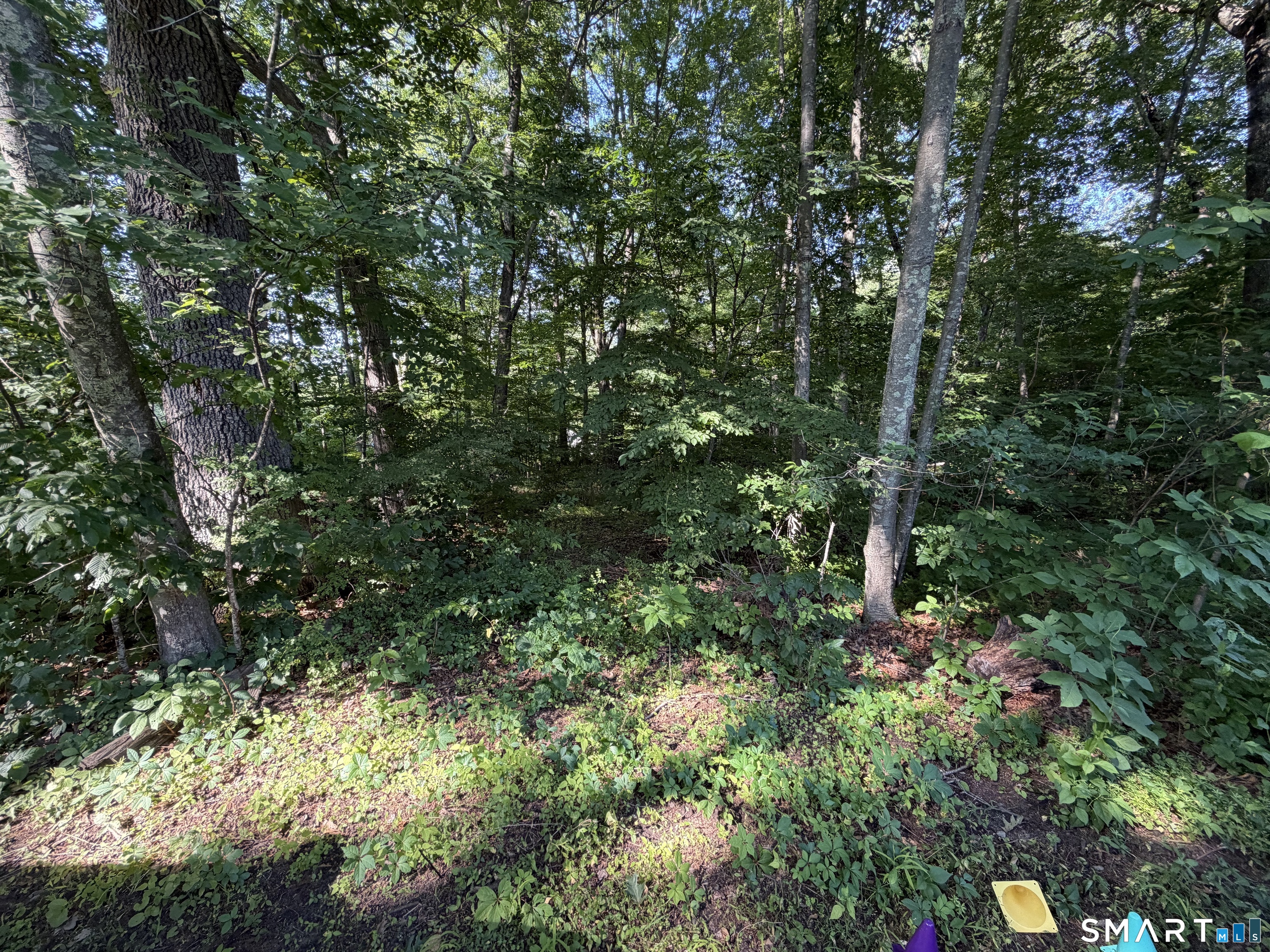Lakeview Heights Lebanon CT 06249
