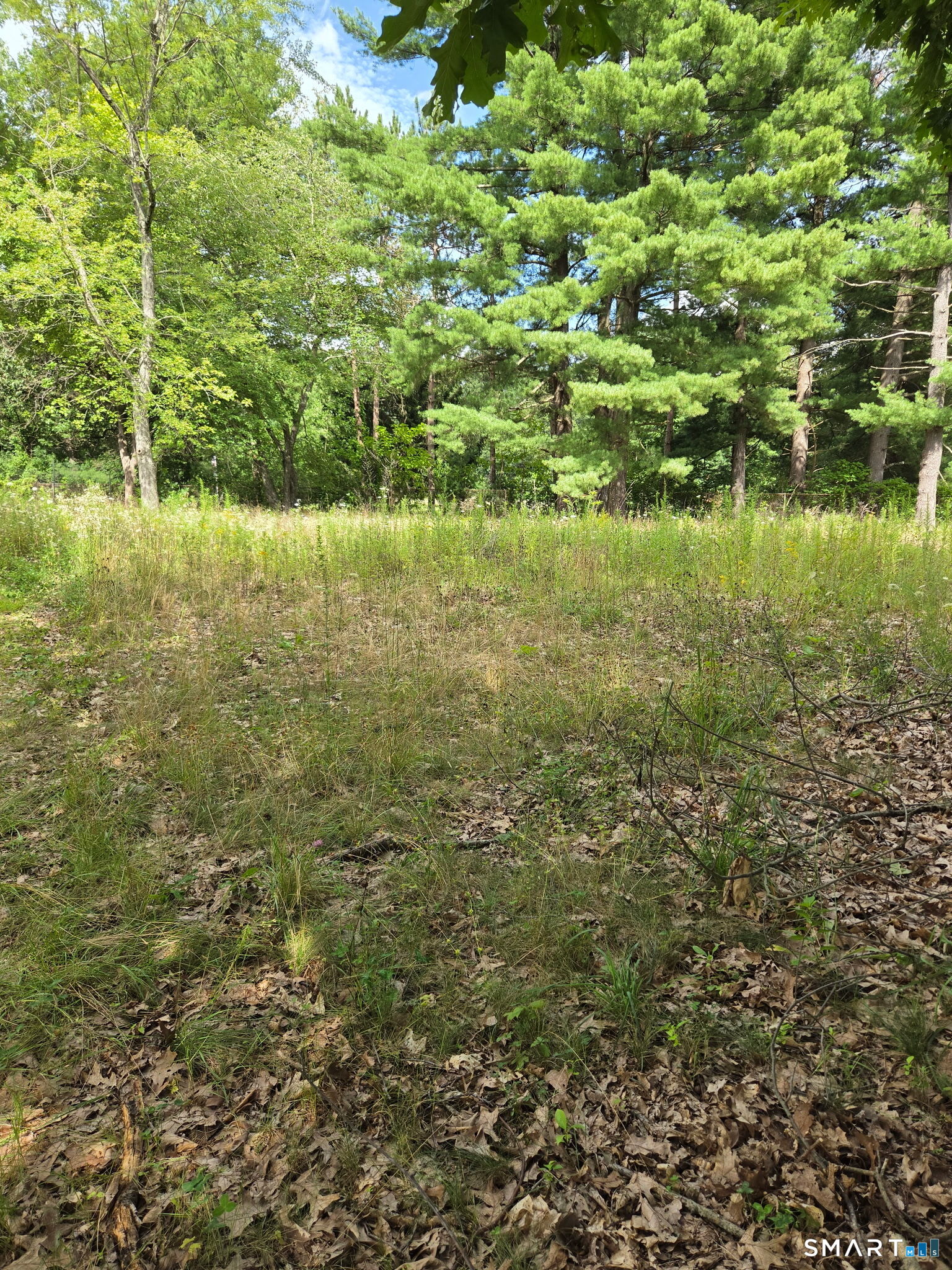 343 Neipsic Road Glastonbury CT 06033