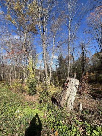 200 W. West Hill Road Barkhamsted CT 06063