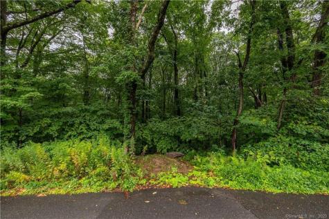 55 East Washington Road Plymouth CT 06786