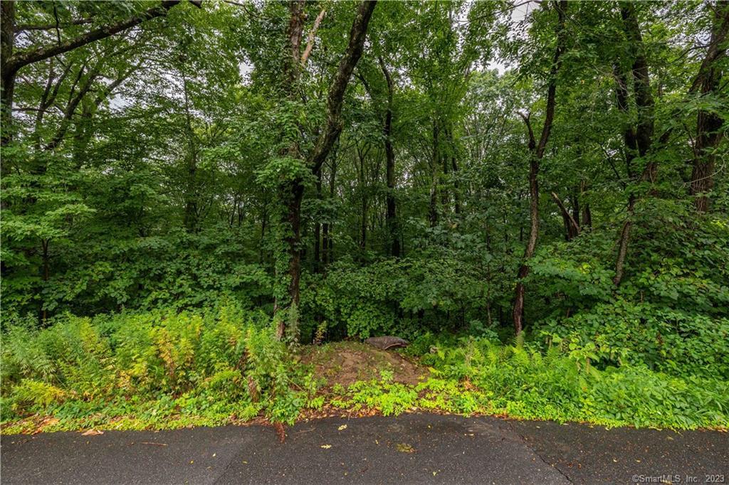 55 East Washington Road Plymouth CT 06786