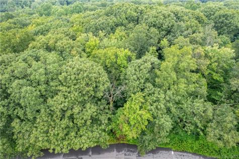 55 East Washington Road Plymouth CT 06786