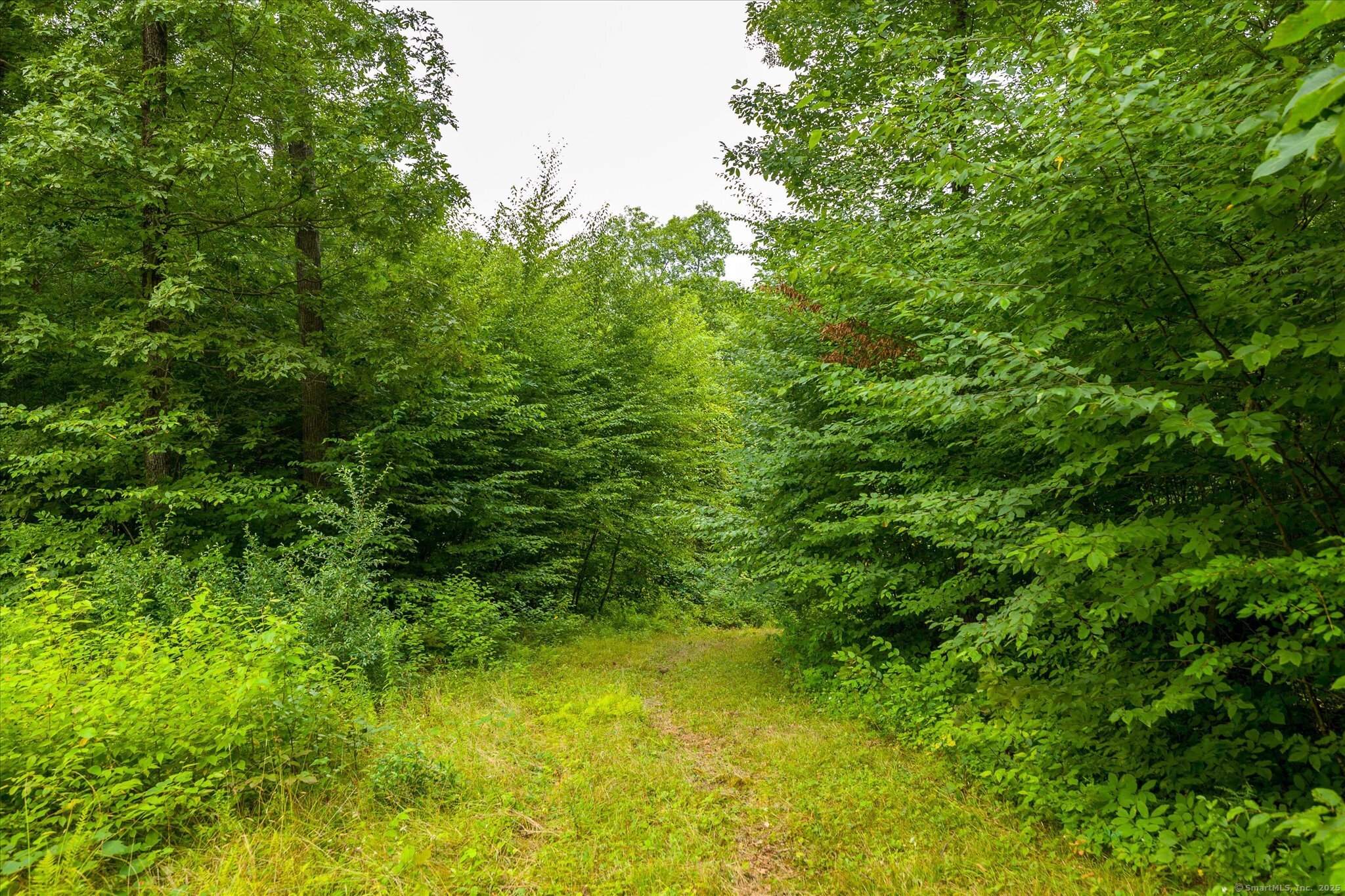 Aplin Hill Lane Woodstock CT 06281