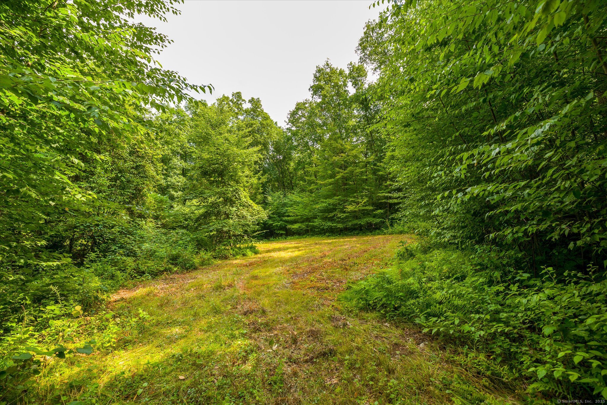 Aplin Hill Lane Woodstock CT 06281