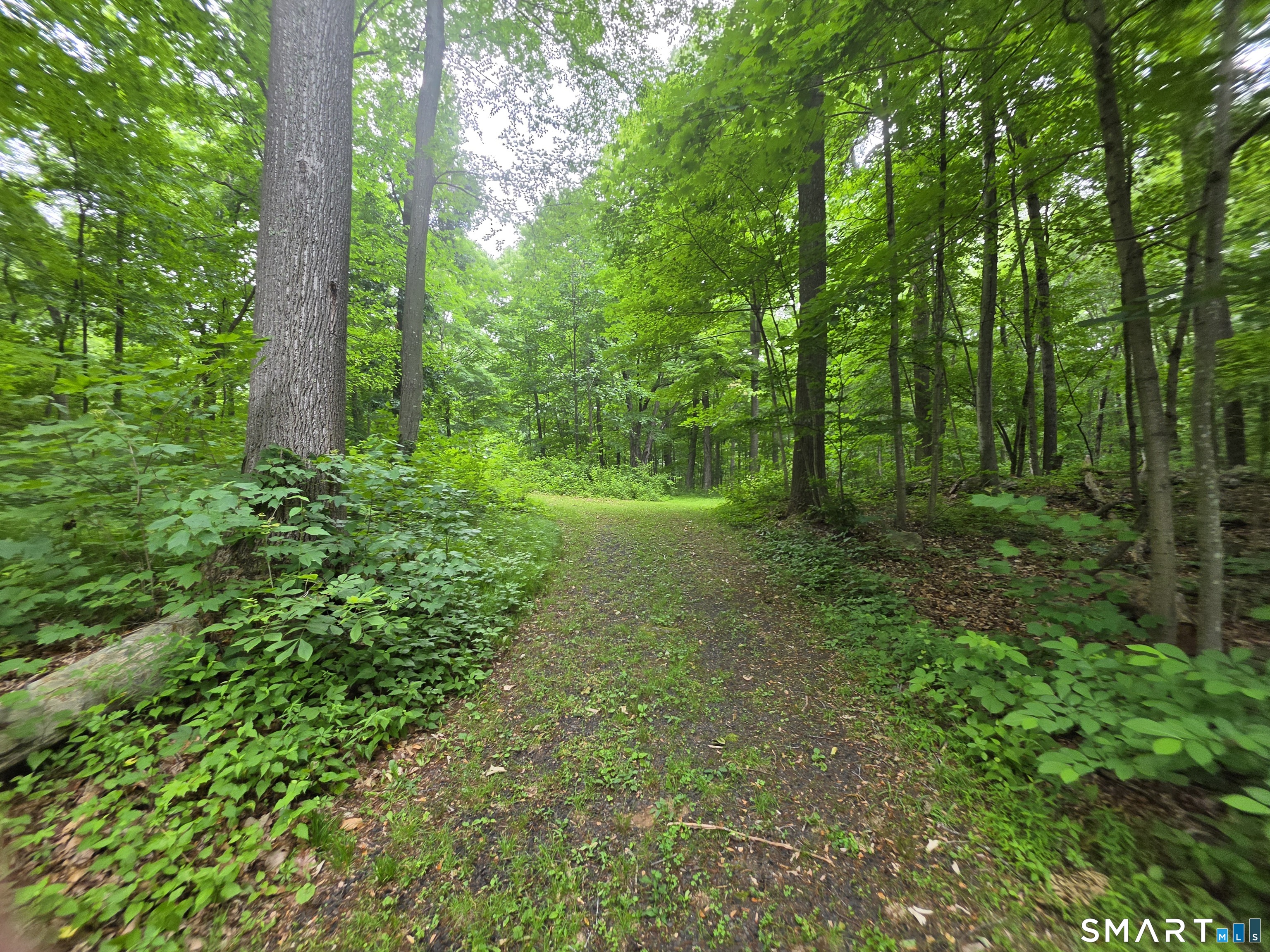 West Lake Avenue Guilford CT 06437