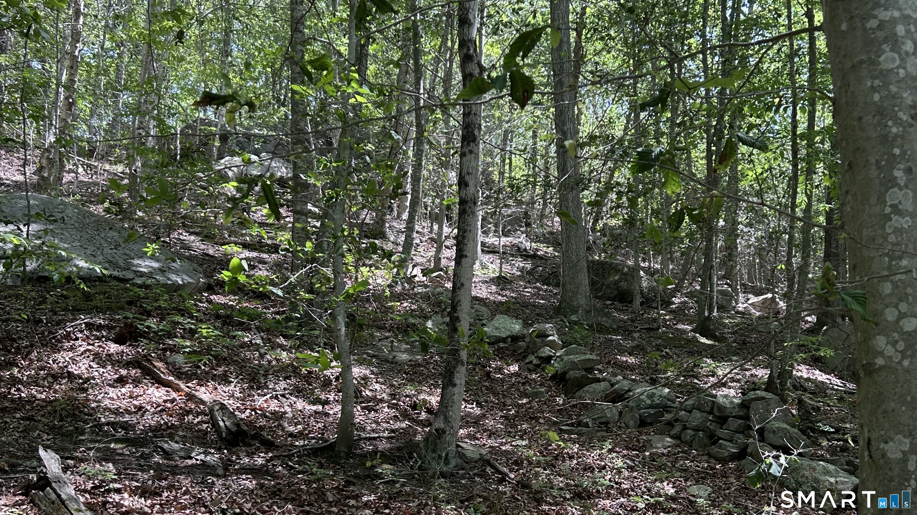 Norwich Salem Road East Haddam CT 06423