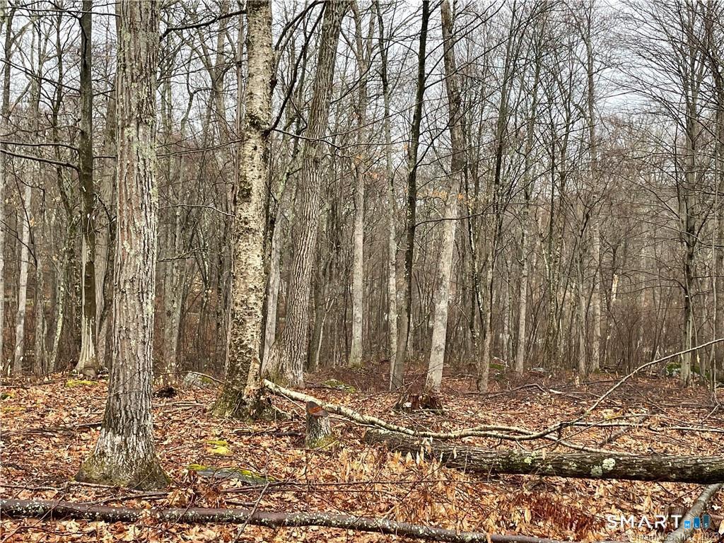 Westwoods Road Sharon CT 06757