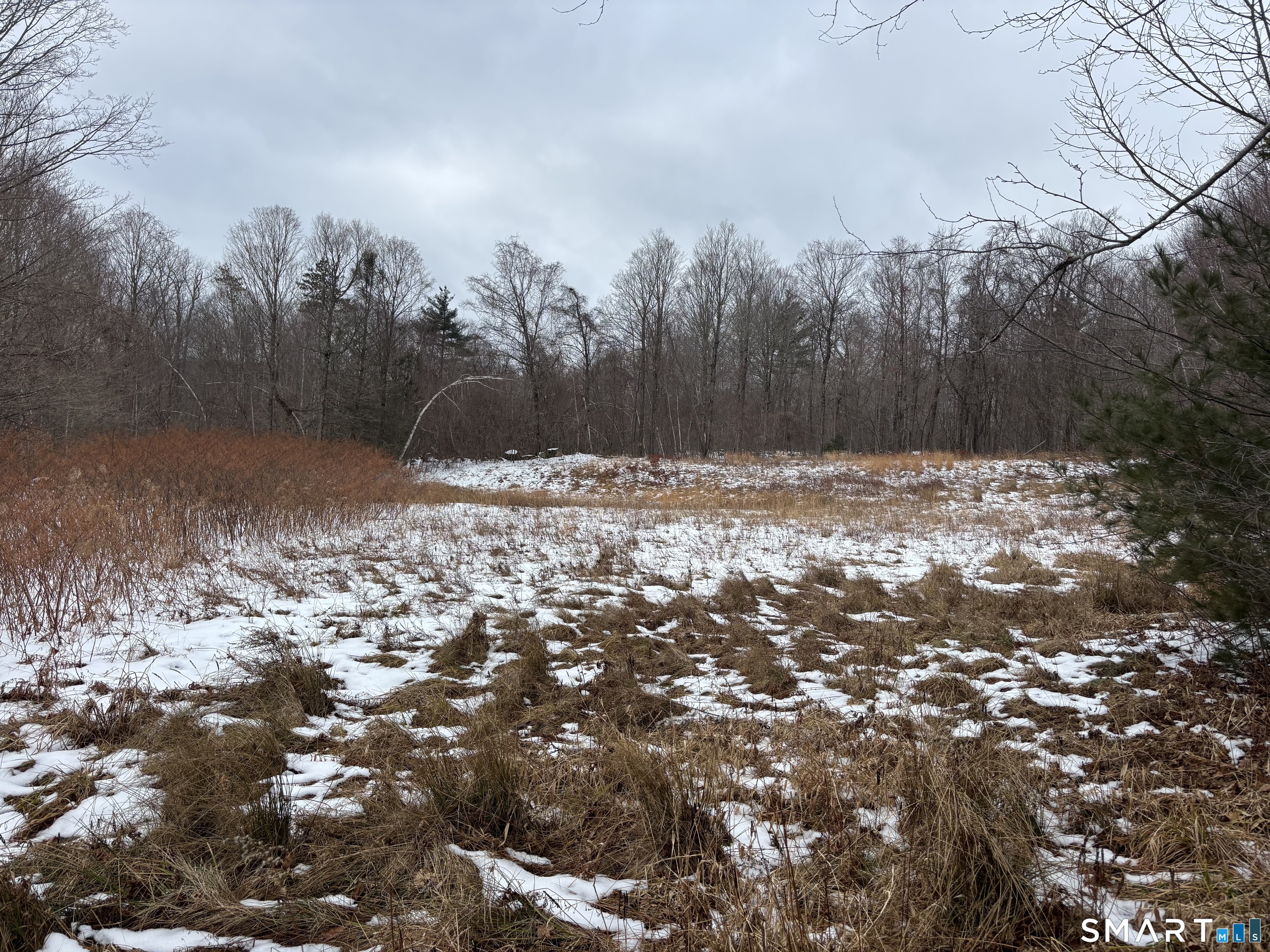 Hartland CT 06027