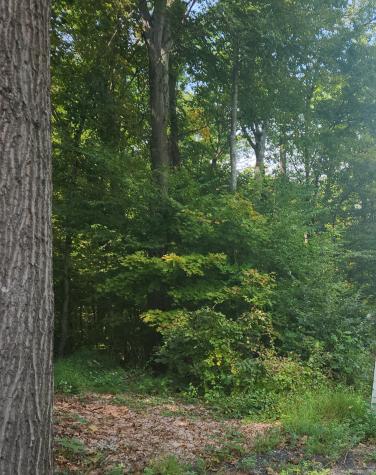 Lot 13 Waterbury Road Cheshire CT 06410