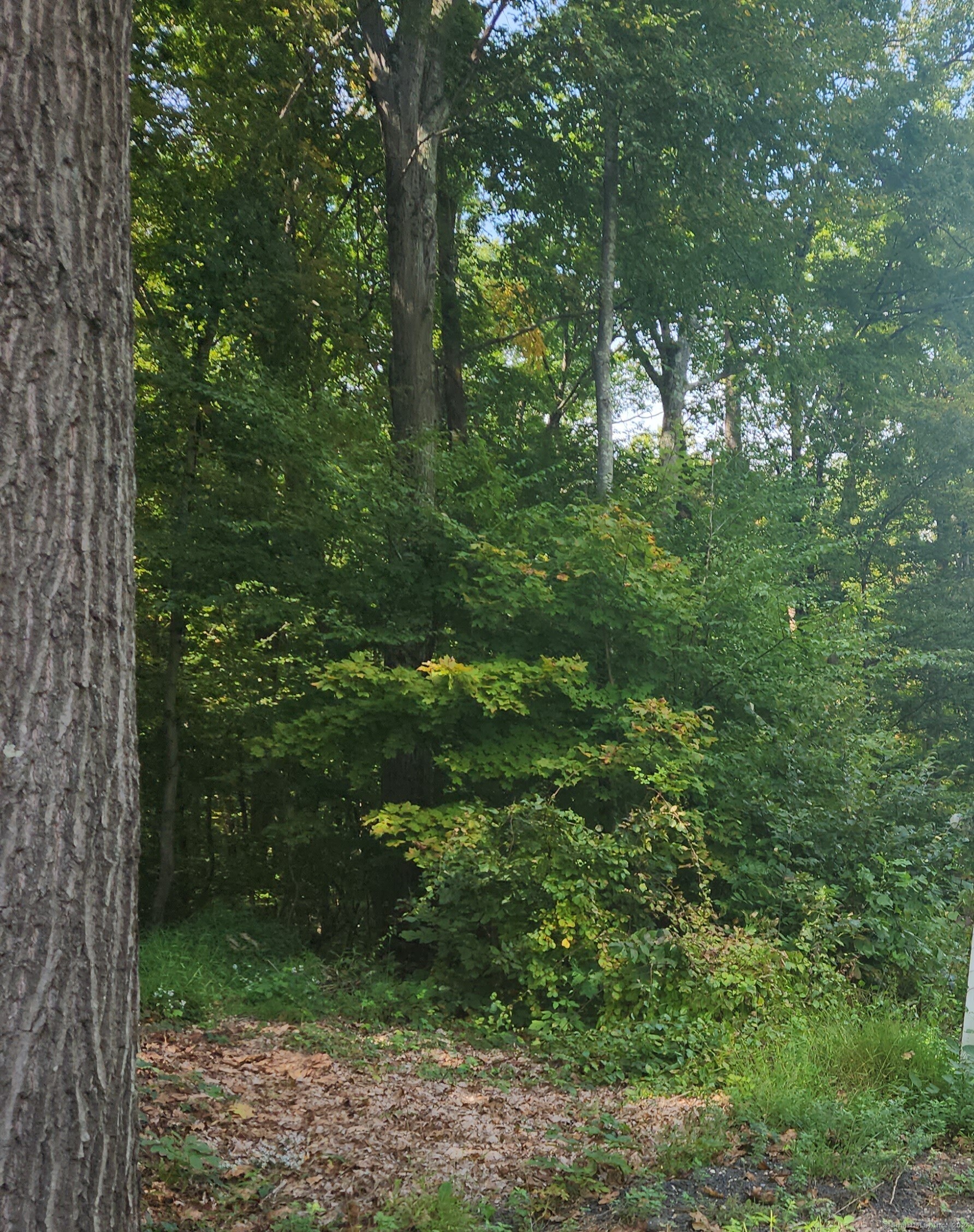 Lot 13 Waterbury Road Cheshire CT 06410